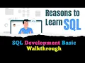 DAY SQL Server Development Walkthrough