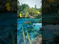 Download Lagu Ini Benar Gila Jernih Seperti Kaca 😱 !! Danau Paisu Pok Sulawesi #shorts