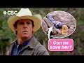 Is Amy OK Heartland Season 1