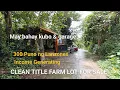 Download Lagu #Vlog367 FARM LOT CLEAN TITLE FOR SALE | 300 PUNO NG LANZONES | Income Generating 🌳🍒🍏🍎