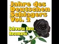 Schöner fremder Mann