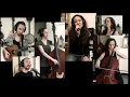 Last Day in Gettysburg - Gary Ferguson/Larry Sparks [Lockdown acoustic cover - The Red Folks]