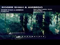 Roger Shah & Ambedo - Forests (Extended Mix)