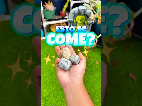Piedra unboxing #bloxfruits #unboxing #roblox #robloxshorts #shorts #trigongm #shorts