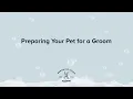 Preparing Your Pet for Grooming PetSmart