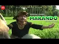 Download Lagu Marando - Mudawar Indang [ Official Music Video ]