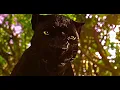 Download Lagu Mowgli’s 1st Running Scene (The Jungle Book 2016)