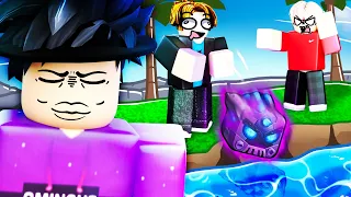 I Took MAGNET FRUIT Trolling WAY Too Far... (Roblox Blox Fruits)