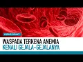 Download Lagu Waspada! Penyakit Anemia, Kenali Penyebab Dan Gejalanya | Tips Sehat