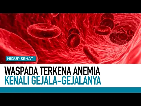 Waspada! Penyakit Anemia, Kenali Penyebab Dan Gejalanya