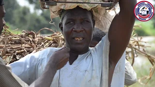 ambaliyar ruwa a kano an yi asarar ama da miliyan 200 a gabasawa