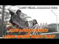 Download Lagu Lagu Viral jaranan TANPA BATAS WAKTU \u0026 LAYANG DUNGO RESTU \