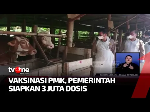Pemerintah Siapkan Tiga Juta Dosis Vaksin PMK