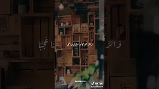 أم حسبت أن أصحاب الكهف والرقيم كانوا من آياتنا عجبا المنشاوي سورة الكهف قران كريم 