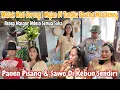 Download Lagu MASAK NASI GORENG 1WAJAN BARENG MAS GEMOY‼️PANEN SAWO \u0026 PISANG DI DEPAN RUMAH~MASAK DI TUNGKU RAME\