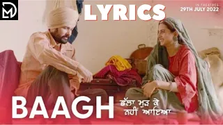 BAAGH (LYRICS) | BIR SINGH | AMRINDER GILL