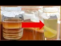 How to train Your SCOBY to Brew JUN KOMBUCHA