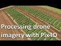 How to process RGB and multispectral drone imagery in Pix4D Drones in agriculture series