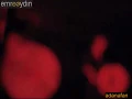 emre aydın-sude-ceyhan konseri by adana fan club