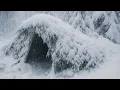 I Survived winter in SIBERIA no Sleeping Bag \u0026 no Hot Tent