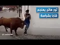 Een woedende stier ziet een verstopte jongeman en valt hem fel aan - Al Mashad Tag