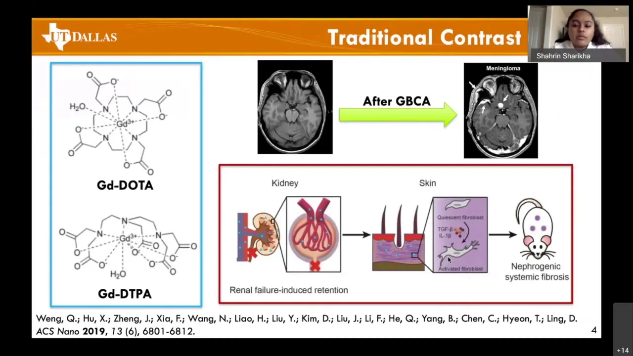 Nanoparticle MRI Contrast Agents