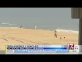 2 NC beaches make list of most dog-friendly in US