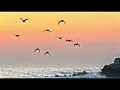 Become the Person Who Attracts Success | Carl Jung & Stoicism