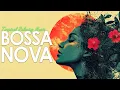 Download Lagu Tranquil Bossa Nova Mood ~ Calm Latin Jazz Music For a Chill n' Carefree Vibe