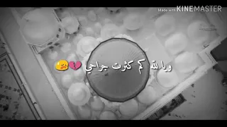 أريد الحب في قلب شريف المدينة المنورة 