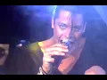Download Lagu Picnic At The Whitehouse - We Need Protection (live)