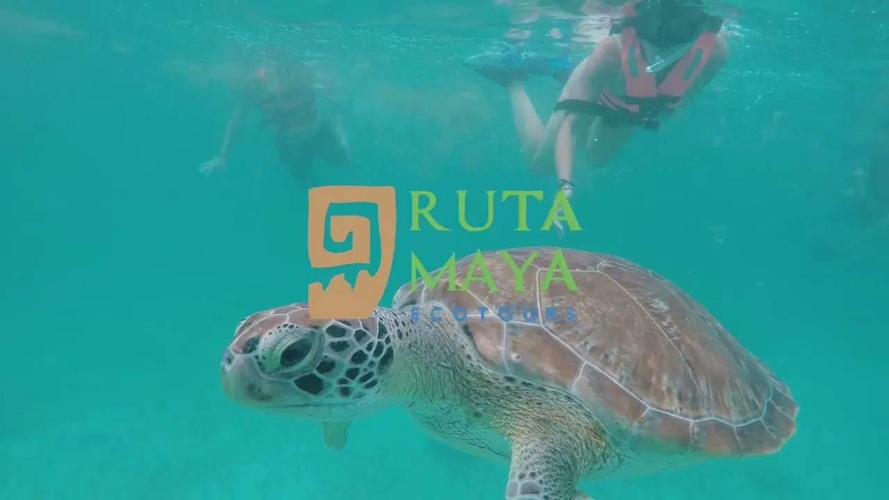 Video Ruta Maya Akumal