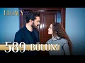 Legacy Aflevering 589