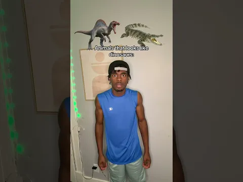 Animals that looks like dinosaurs 😭
