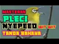 Download Lagu MASTERAN PLECI NYEPEED WIT WIT TANDA BAHAYA