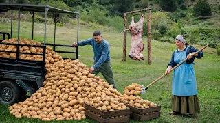 Cooking A 1000 lb Of Potatoes With A Whole Giant Bull!