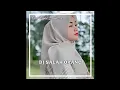 Download Lagu Dj Salah Orang - Cut Rani Auliza (Speed Up)