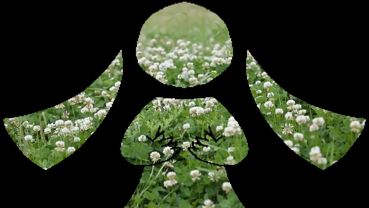 yours to answer / hatsune miku