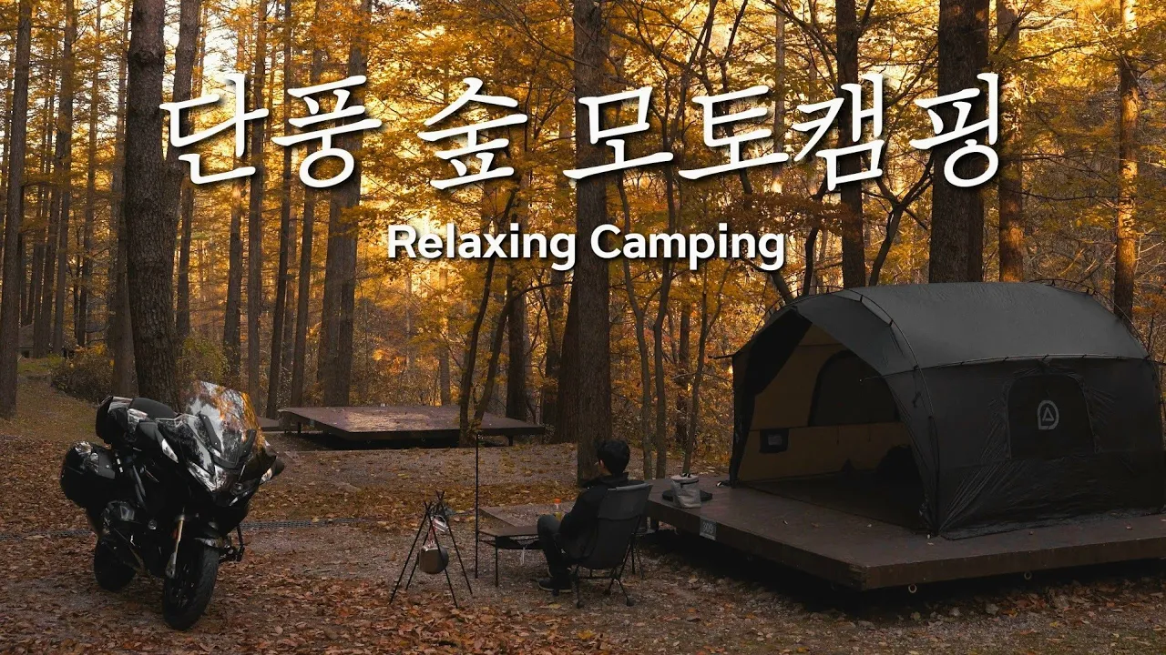 이국적인 깊은 숲속에서 모토캠핑 / 단풍캠핑 / R1250RT / John Doe 라이드 존도 / 4K화질 썸네일