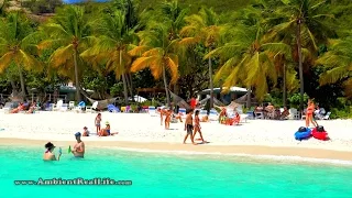 A Beautiful Day on White Bay!  in Jost Van Dyke, British Virgin Islands, CARIBBEAN
