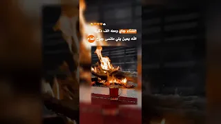 الشتاء الذكريات 