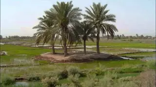 سعدي الحلي موال منهاي 
