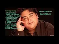Download Lagu Adnan Sami Audio JukeBox
