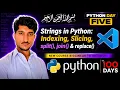 Python100 Days Challenge - Day 5 Strings in Python Indexing Slicing split join replace
