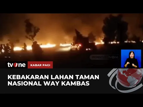 950 Hektar Lahan Taman Nasional Way Kambas Terbakar