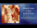 Download Lagu Stranded Horse - A Sigh by Your Side Rings Hollow (with Boubacar Cissokho) [OFFICIAL AUDIO]