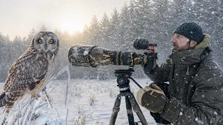 I Waited All Winter for This — 4 Days Chasing Birds in Snow