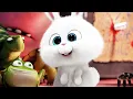 Scary Snowball Scene THE SECRET LIFE OF PETS 2016 Movie CLIP