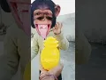 Download Lagu Bala bala🤣💥💥🤩#trending #youtubeshorts #shorts