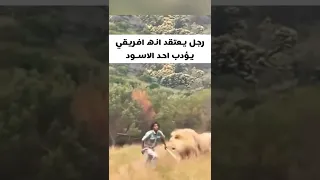 رجل يعتقد انه افريقي يؤدب احد الاسود في الغابة         دندنها